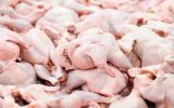 ممنوعیت صادرات مرغ به گمرک اعلام شد