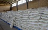 احتکار عامل اصلی گرانی برنج/ جهاد کشاورزی: ظرف یک هفته قیمت برنج را به نرخ مصوب برمی‌گردانیم