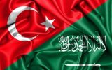 حمایت ترکیه از عربستان در درگیری این کشور با آمریکا بر سر کاهش تولید اوپک