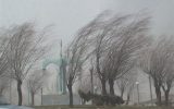 وزش باد شدید در تهران/ احتمال سقوط بهمن در ارتفاعات