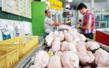 نوسانات بازار مرغ چطور به تدریج کاهش یافت