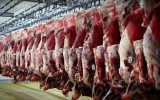 گوشت ارزان کنیایی در راه ایران؛تهاتر  نیسان آبی با گوشت