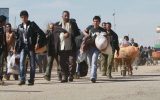بازگشت بیش از ۴۰ هزار مهاجر به افغانستان در دو هفته گذشته